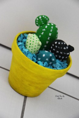 Cactus Galets Miss Gloubi DIY14